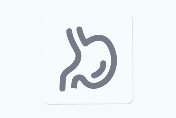 Stomach: Graphics and Illustrations for Polished Content